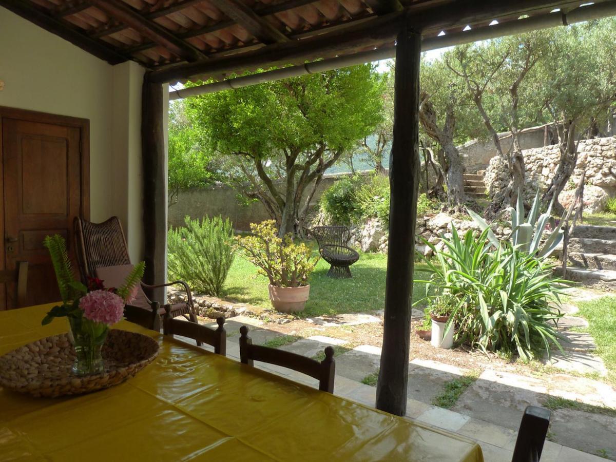 Casa Puccini B&B 마라테아 외부 사진